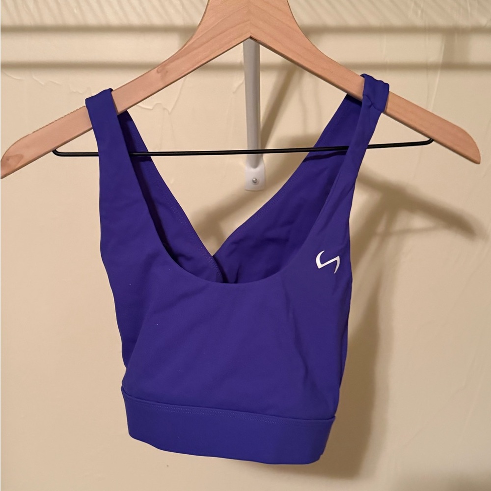 Vibrant Blue Sports Bra by TLF